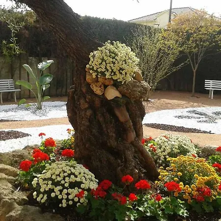 Lola Accommodatie bij particulieren Córdoba