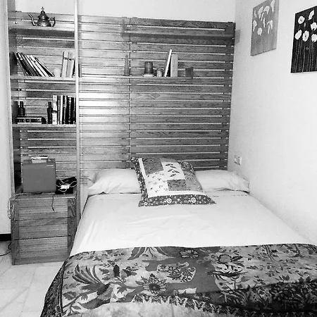 Lola * Córdoba